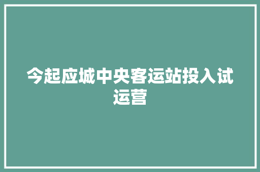 今起应城中央客运站投入试运营