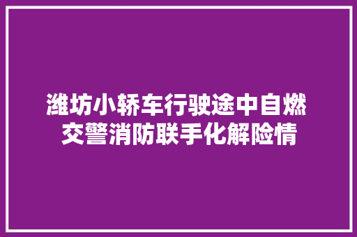 潍坊小轿车行驶途中自燃 交警消防联手化解险情