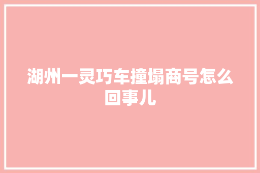 湖州一灵巧车撞塌商号怎么回事儿