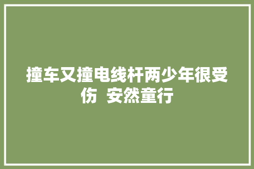 撞车又撞电线杆两少年很受伤  安然童行