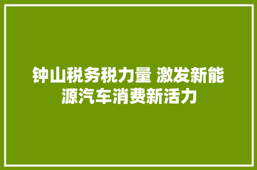 钟山税务税力量 激发新能源汽车消费新活力