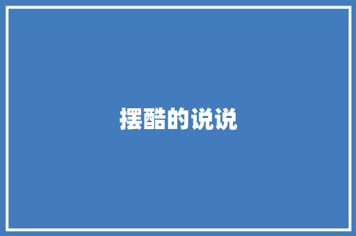 摆酷的说说