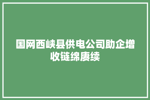 国网西峡县供电公司助企增收链绵赓续