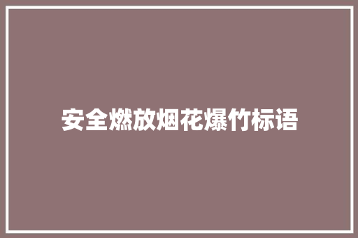 安全燃放烟花爆竹标语