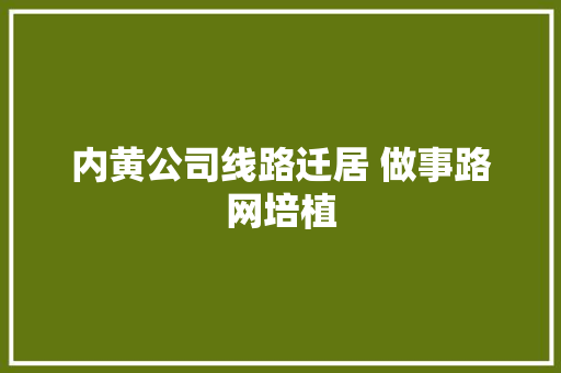 内黄公司线路迁居 做事路网培植