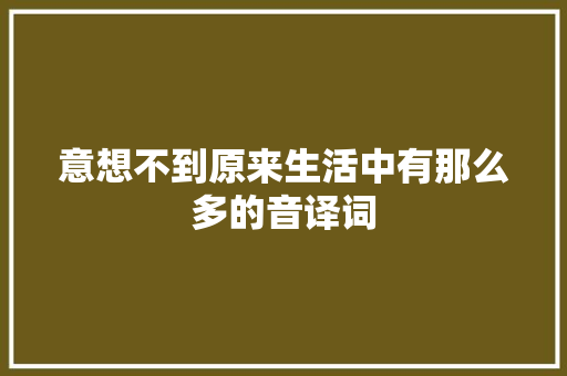 意想不到原来生活中有那么多的音译词