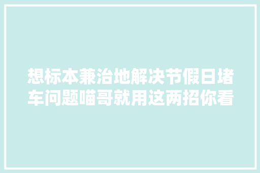 想标本兼治地解决节假日堵车问题喵哥就用这两招你看可还行