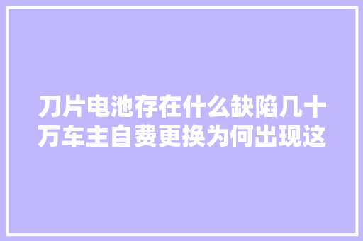 刀片电池存在什么缺陷几十万车主自费更换为何出现这种情况
