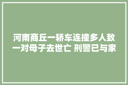 河南商丘一轿车连撞多人致一对母子去世亡 刑警已与家属沟通案情 汽车知识