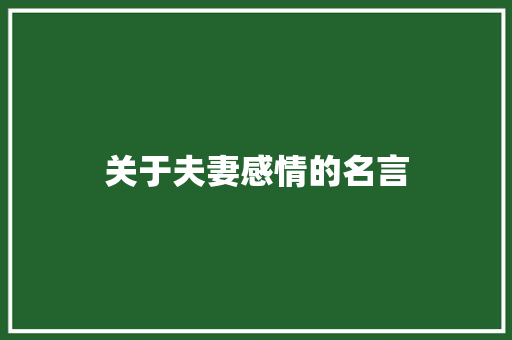 关于夫妻感情的名言