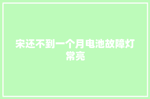 宋还不到一个月电池故障灯常亮
