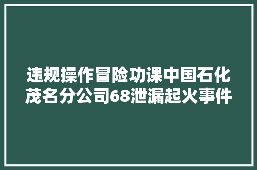 违规操作冒险功课中国石化茂名分公司68泄漏起火事件查询访问申报公布 汽车知识