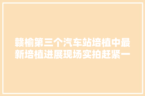 赣榆第三个汽车站培植中最新培植进展现场实拍赶紧一睹为快