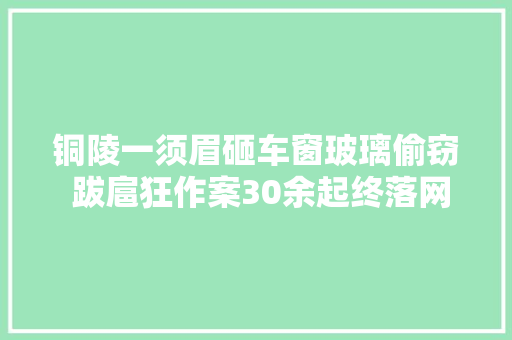 铜陵一须眉砸车窗玻璃偷窃 跋扈狂作案30余起终落网