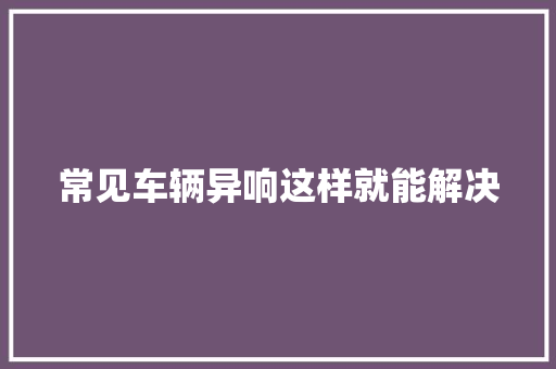 常见车辆异响这样就能解决