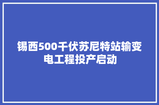 锡西500千伏苏尼特站输变电工程投产启动