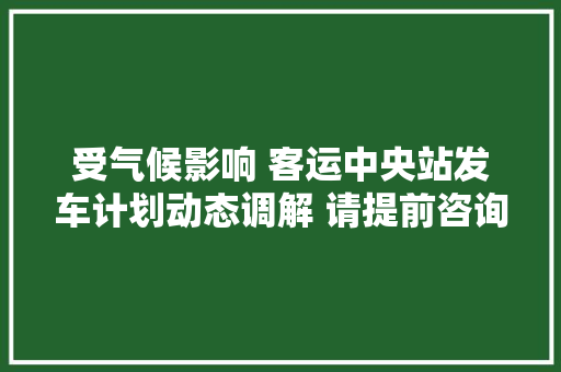 受气候影响 客运中央站发车计划动态调解 请提前咨询