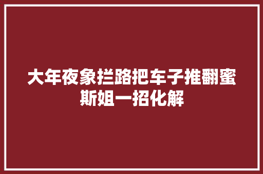 大年夜象拦路把车子推翻蜜斯姐一招化解