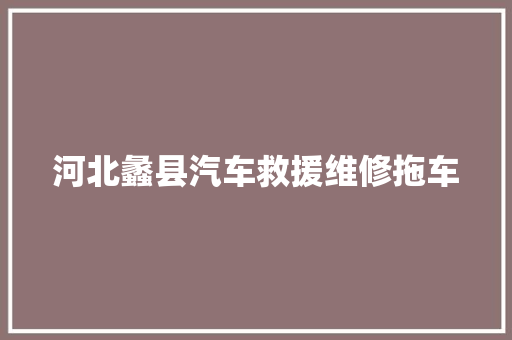 河北蠡县汽车救援维修拖车
