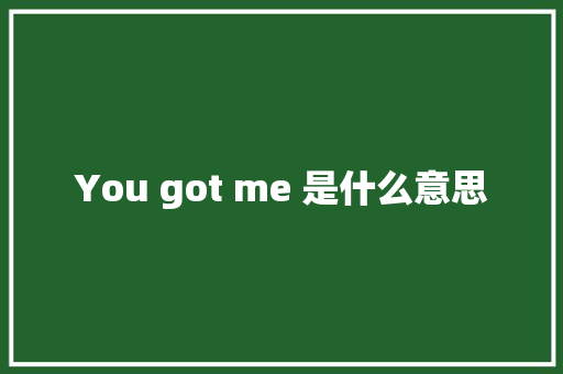 You got me 是什么意思