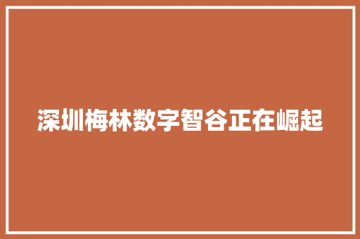 深圳梅林数字智谷正在崛起