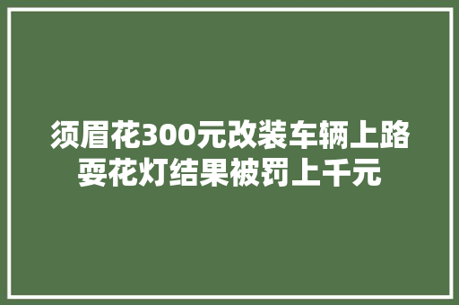 须眉花300元改装车辆上路耍花灯结果被罚上千元