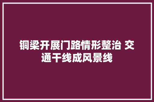铜梁开展门路情形整治 交通干线成风景线