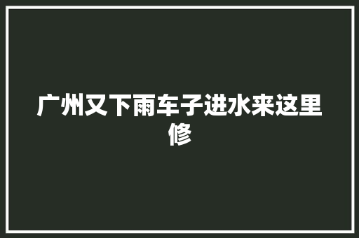 广州又下雨车子进水来这里修 汽车知识