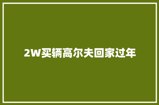 2W买辆高尔夫回家过年