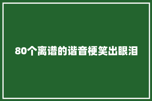 80个离谱的谐音梗笑出眼泪 休闲娱乐