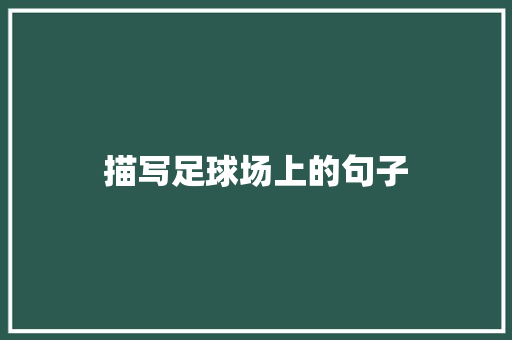 描写足球场上的句子 知识百科
