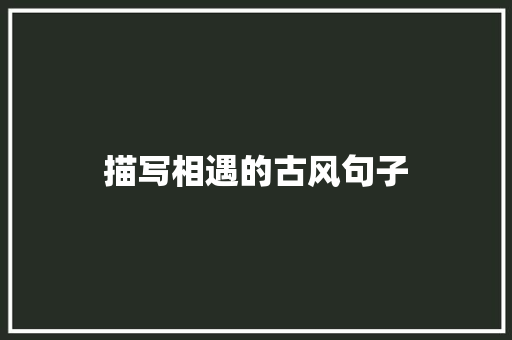 描写相遇的古风句子