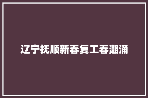 辽宁抚顺新春复工春潮涌