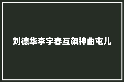 刘德华李宇春互飙神曲屯儿 休闲娱乐