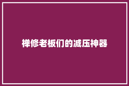 禅修老板们的减压神器