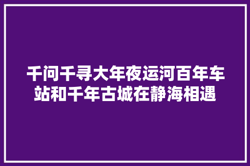 千问千寻大年夜运河百年车站和千年古城在静海相遇