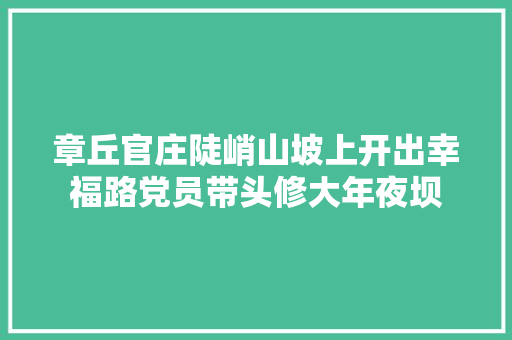 章丘官庄陡峭山坡上开出幸福路党员带头修大年夜坝