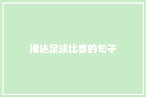 描述足球比赛的句子