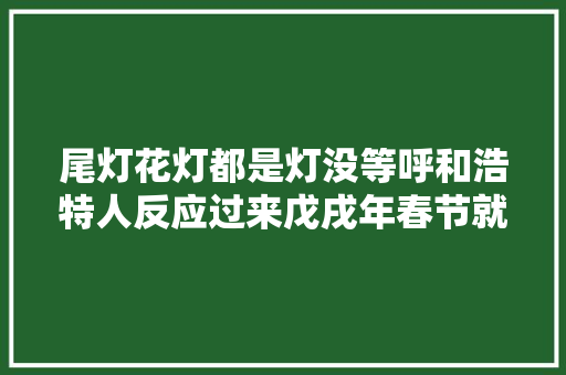 尾灯花灯都是灯没等呼和浩特人反应过来戊戌年春节就溜走了