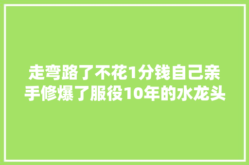 走弯路了不花1分钱自己亲手修爆了服役10年的水龙头