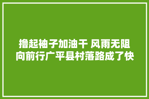 撸起袖子加油干 风雨无阻向前行广平县村落路成了快速路