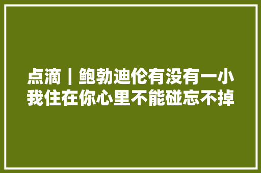 点滴｜鲍勃迪伦有没有一小我住在你心里不能碰忘不掉落