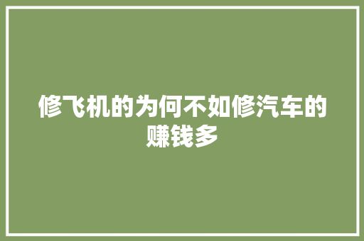 修飞机的为何不如修汽车的赚钱多 汽车知识