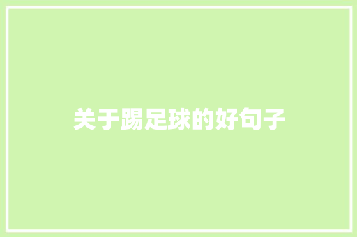 关于踢足球的好句子