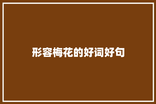 形容梅花的好词好句