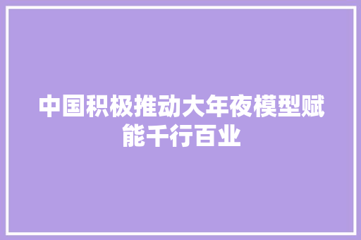 中国积极推动大年夜模型赋能千行百业