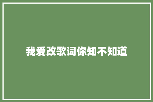 我爱改歌词你知不知道