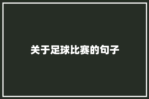 关于足球比赛的句子