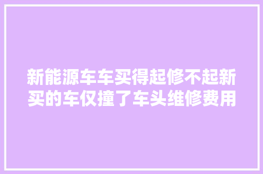 新能源车车买得起修不起新买的车仅撞了车头维修费用高达54万元