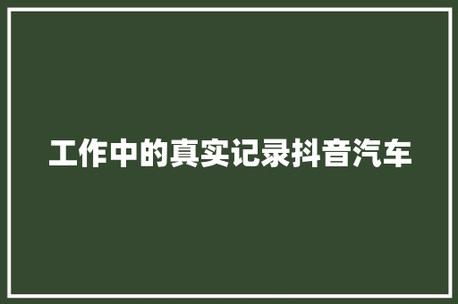 工作中的真实记录抖音汽车